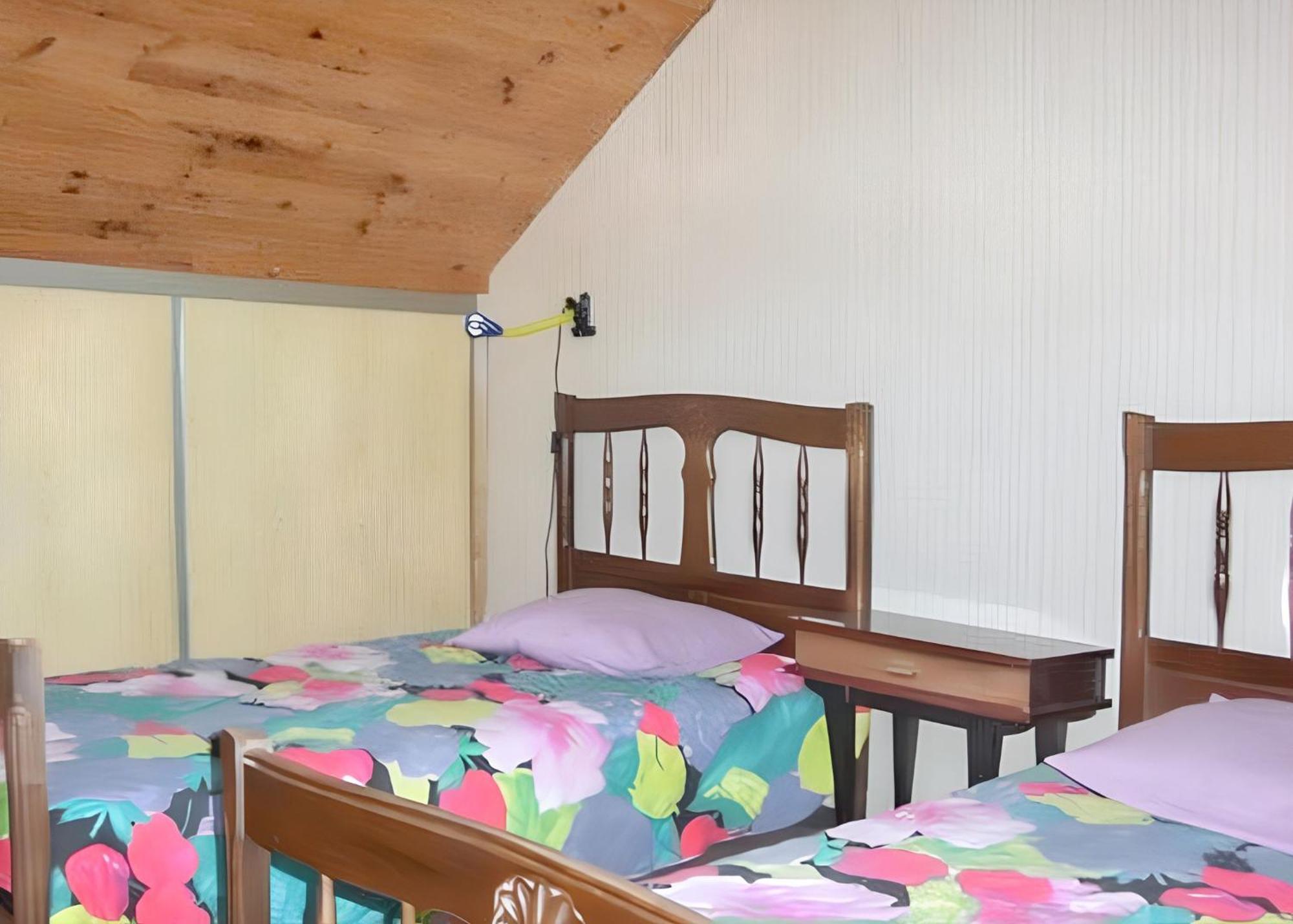 Maison Chaleureuse Pres Des Pistes De Barcelonnette - Cheminee 外观 照片